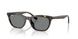 710/87 - Tortoise - Dark Grey