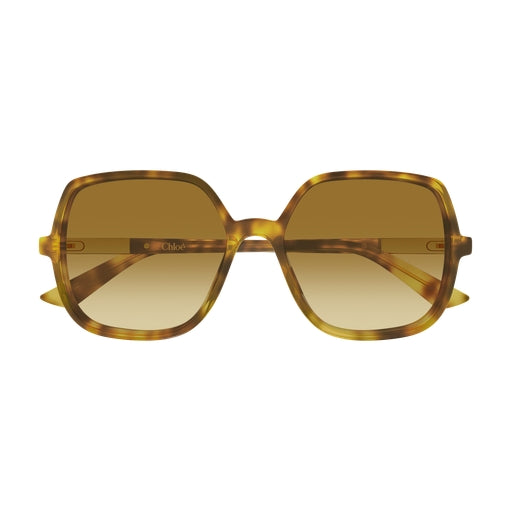 004 - Havana - Brown