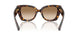 300289 - Brown - Brown Gradient