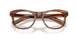 25O1O1 - Brown