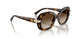 W65613 - Brown - Gradient Brown