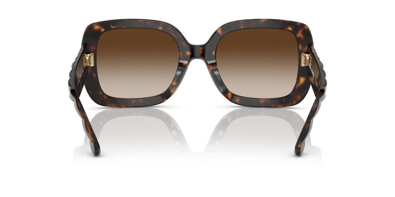 172813 - Havana - Brown Gradient