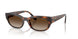 271813 - Brown - Gradient Brown