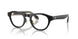 50011W - Black - Clear
