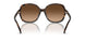 512074 - Tortoise - Brown Gradient