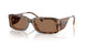 205073 - Tortoise - Dark Brown