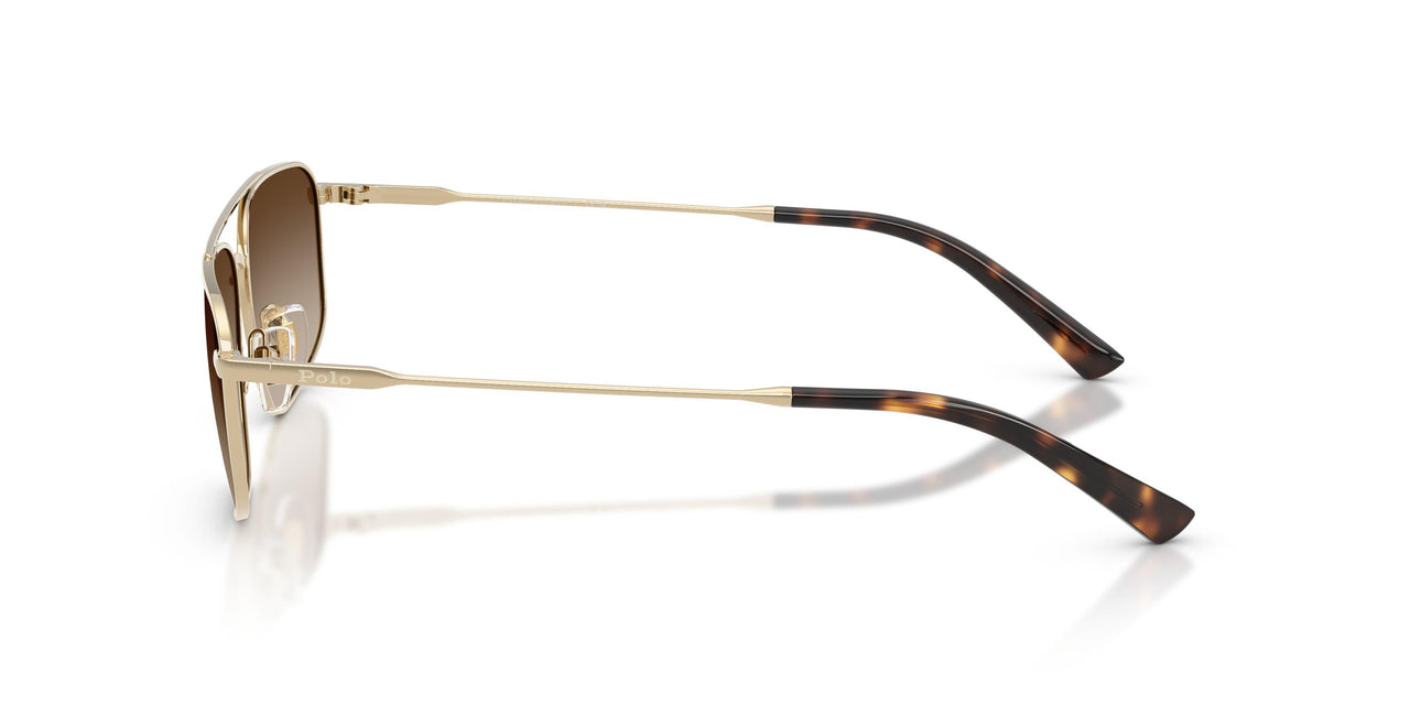 939313 - Gold - Brown Gradient Dark Brown