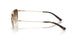 939313 - Gold - Brown Gradient Dark Brown