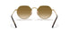001/51 - Gold - Brown