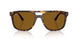 902/33 - Tortoise - B-15 Brown