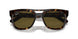 135973 - Tortoise - Dark Brown