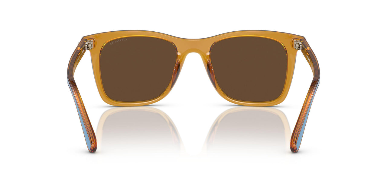 57483G - White - Brown Solid