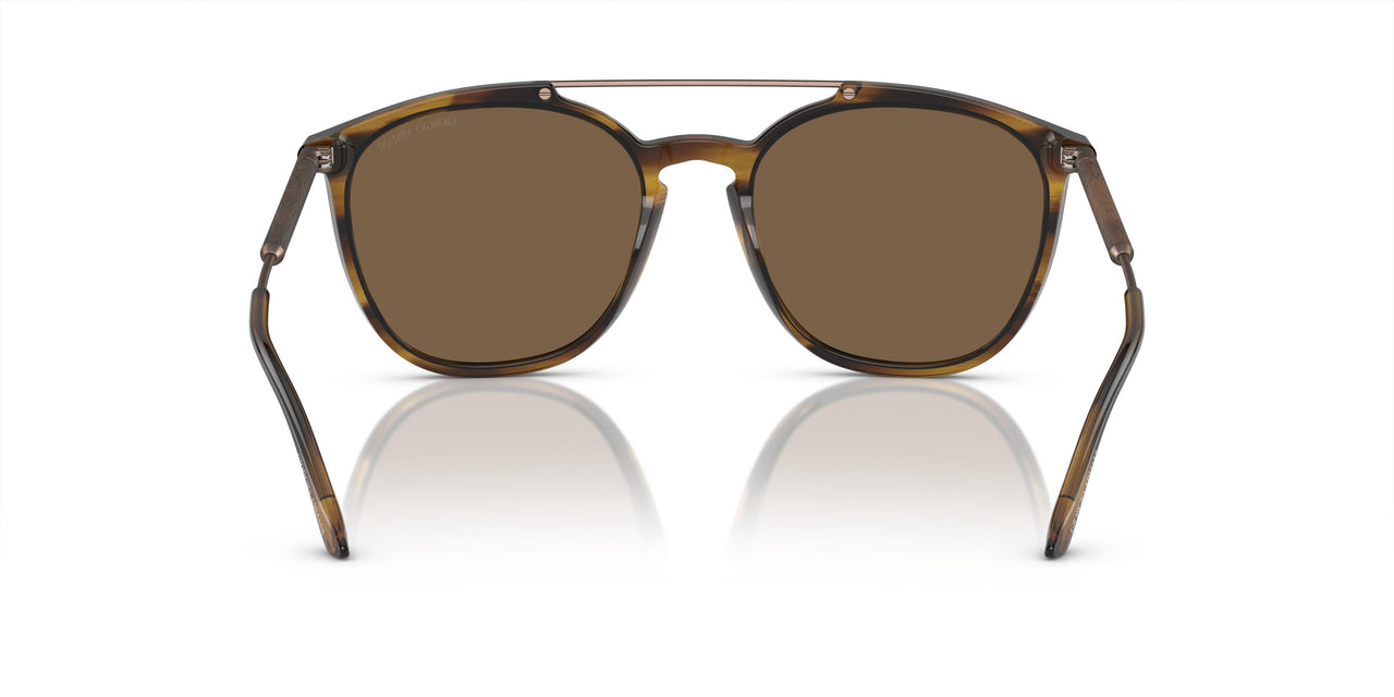 603773 - Tortoise - Dark Brown