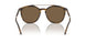 603773 - Tortoise - Dark Brown