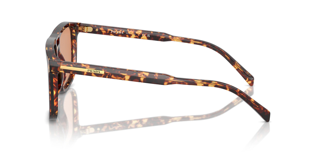 14O07V - Tortoise - Orange