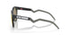 924202 - Black - Prizm Ruby