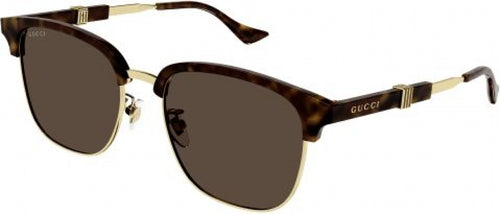 002 - Gold/Havana - Brown