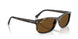 710/57 - Tortoise - Polar Brown