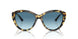 500419 - Tortoise - Gradient Blue
