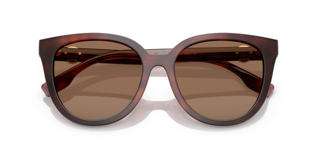 201173 - Tortoise - Dark Brown