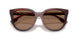 201173 - Tortoise - Dark Brown