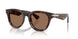 300273 - Brown - Dark Brown