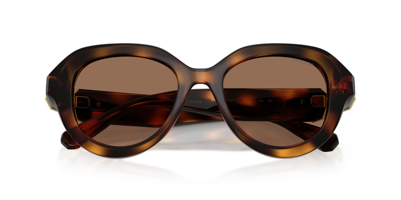 100273 - Tortoise - Dark Brown