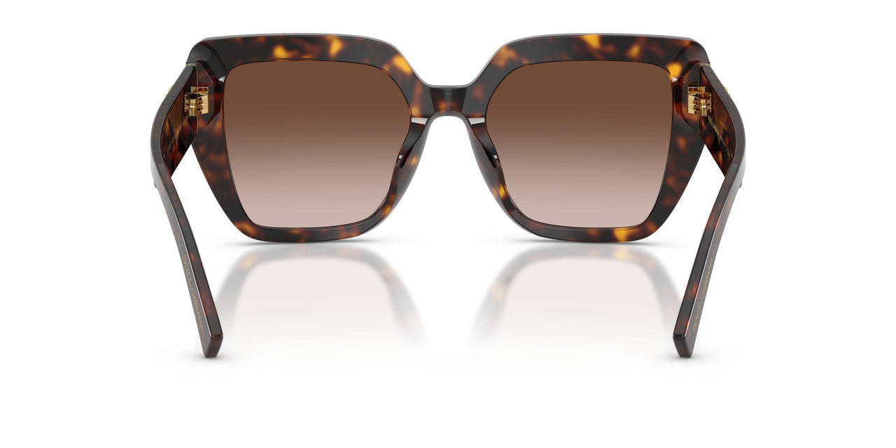 502/13 - Tortoise - Gradient Brown