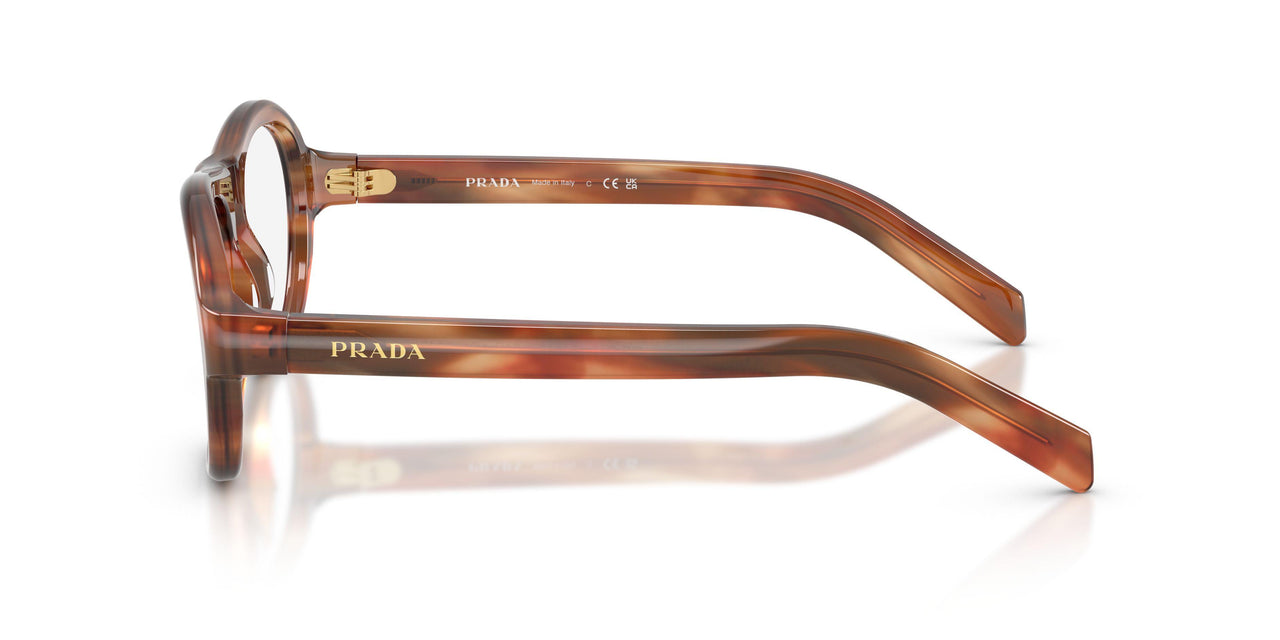 24G1O1 - Brown