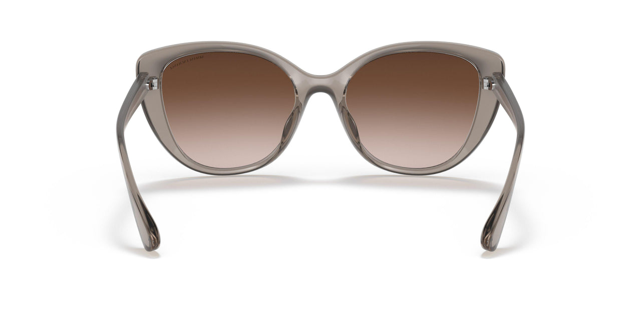 824013 - Brown - Gradient Brown