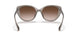 824013 - Brown - Gradient Brown