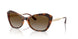 W656T5 - Brown - Grey Gradient Brown Polar