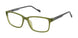 New Globe M446 Eyeglasses