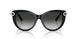 80553C - Black - Grey Gradient