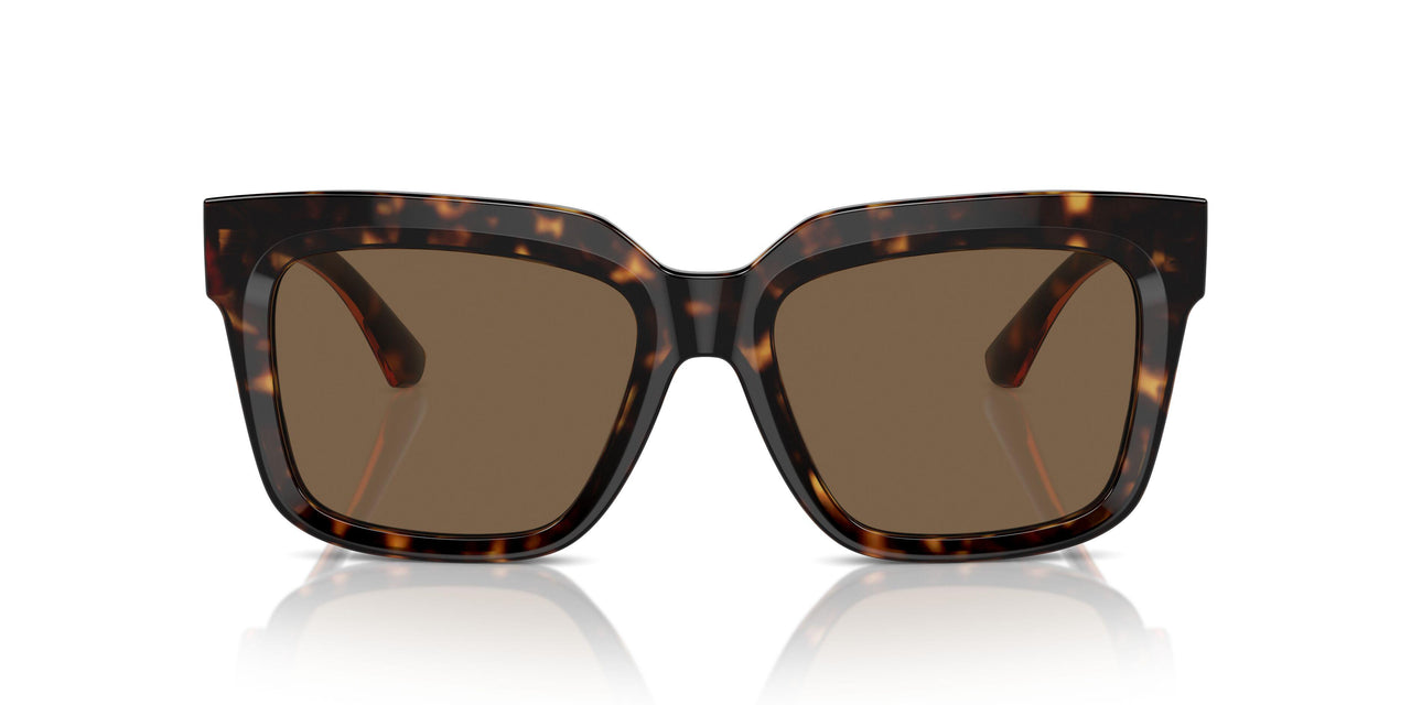300273 - Brown - Dark Brown