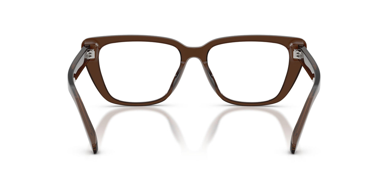 6251 - Brown