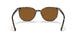 135757 - Brown - Brown Polar
