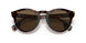 399173 - Havana - Dark Brown