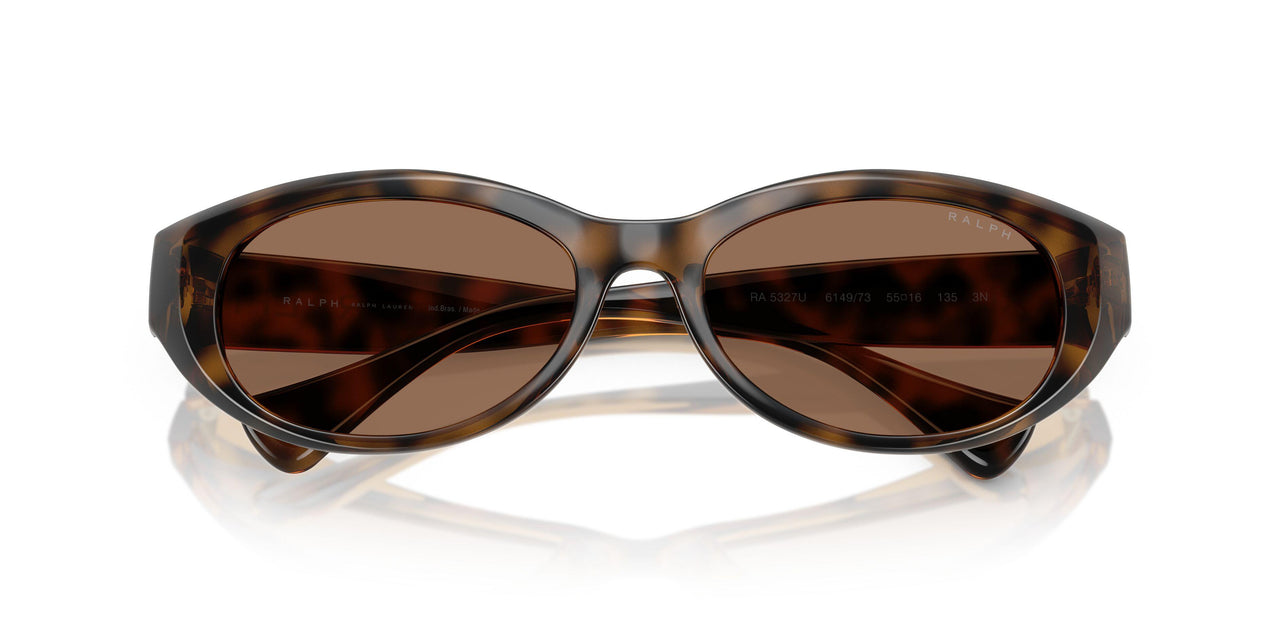 614973 - Tortoise - Dark Brown