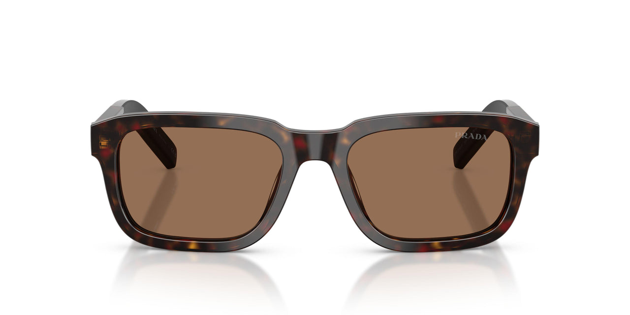 17N60M - Tortoise - Dark Brown