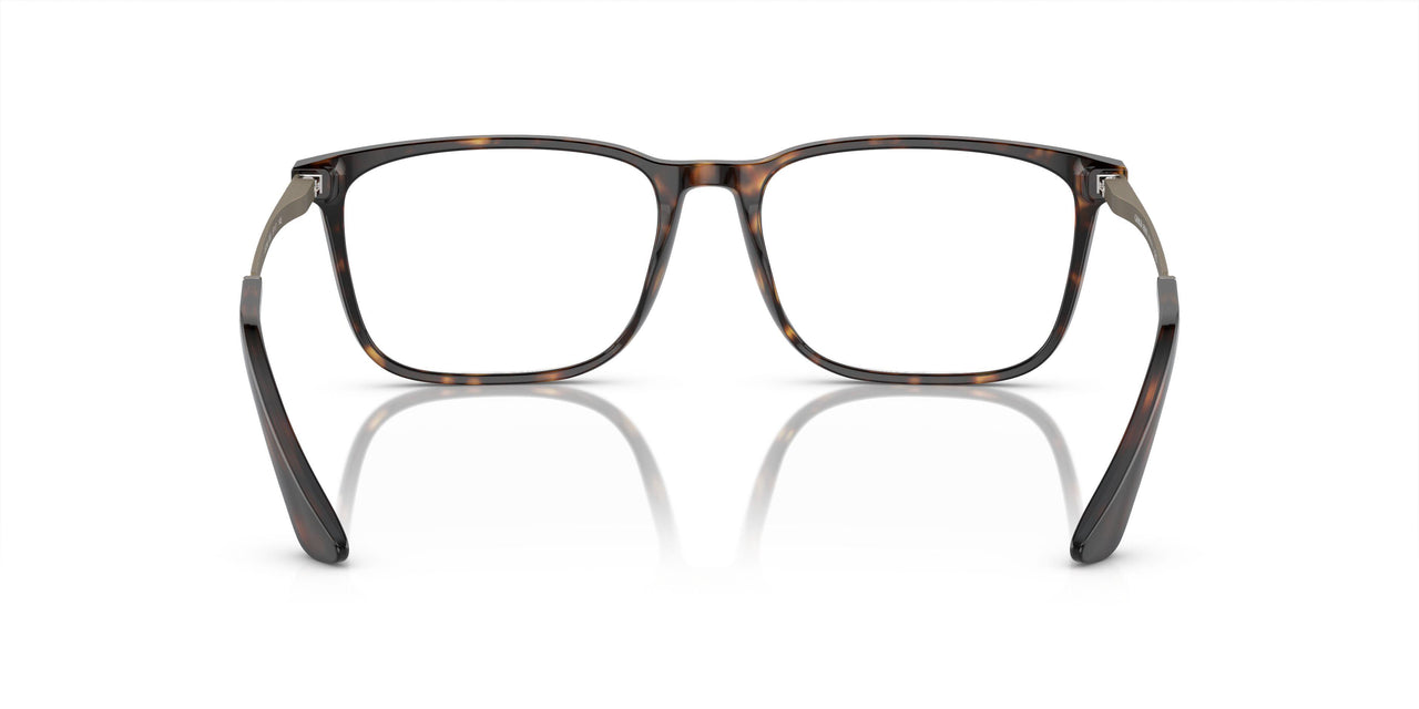 5026 - Tortoise