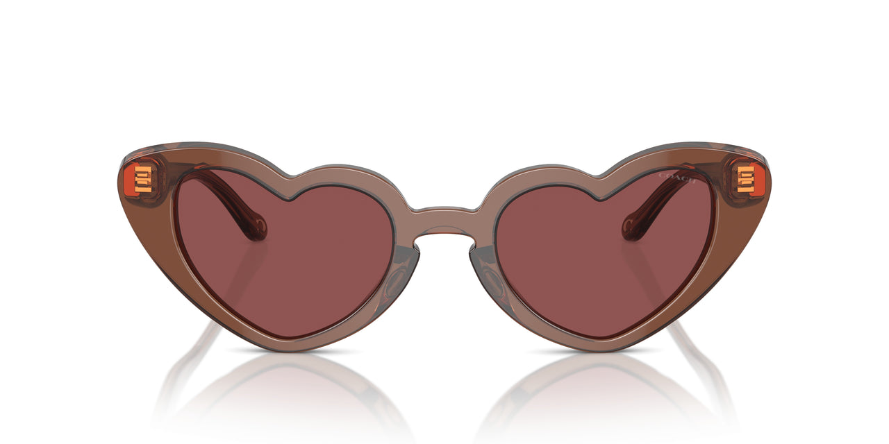 581175 - Brown - Wine