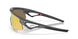 953103 - Grey - Prizm 24k Polarized