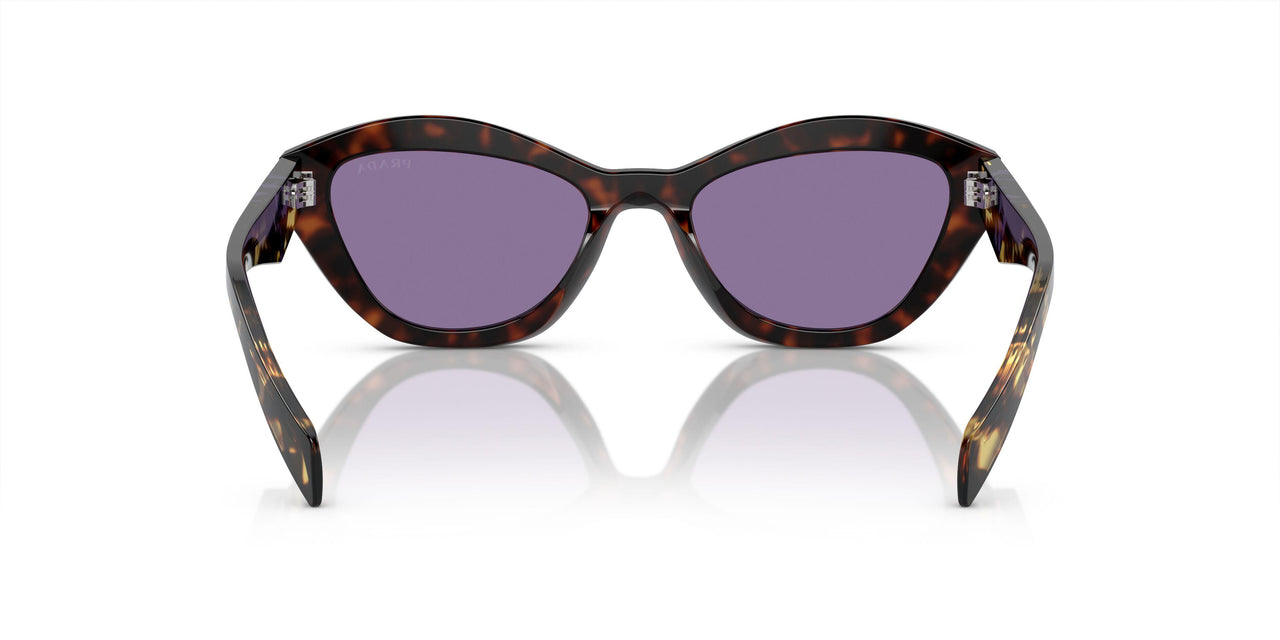 17N50B - Tortoise - Violet Mirror Internal Silver