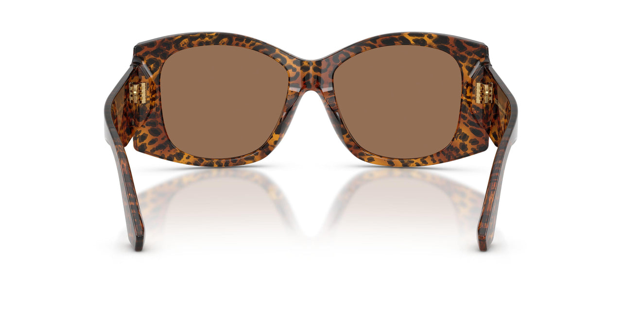 347073 - Brown - Dark Brown