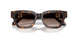 587913 - Tortoise - Gradient Brown