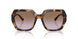 317968 - Tortoise - Violet Gradient Brown
