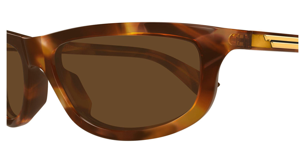 005 - Havana - Brown