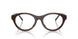 2069 - Brown