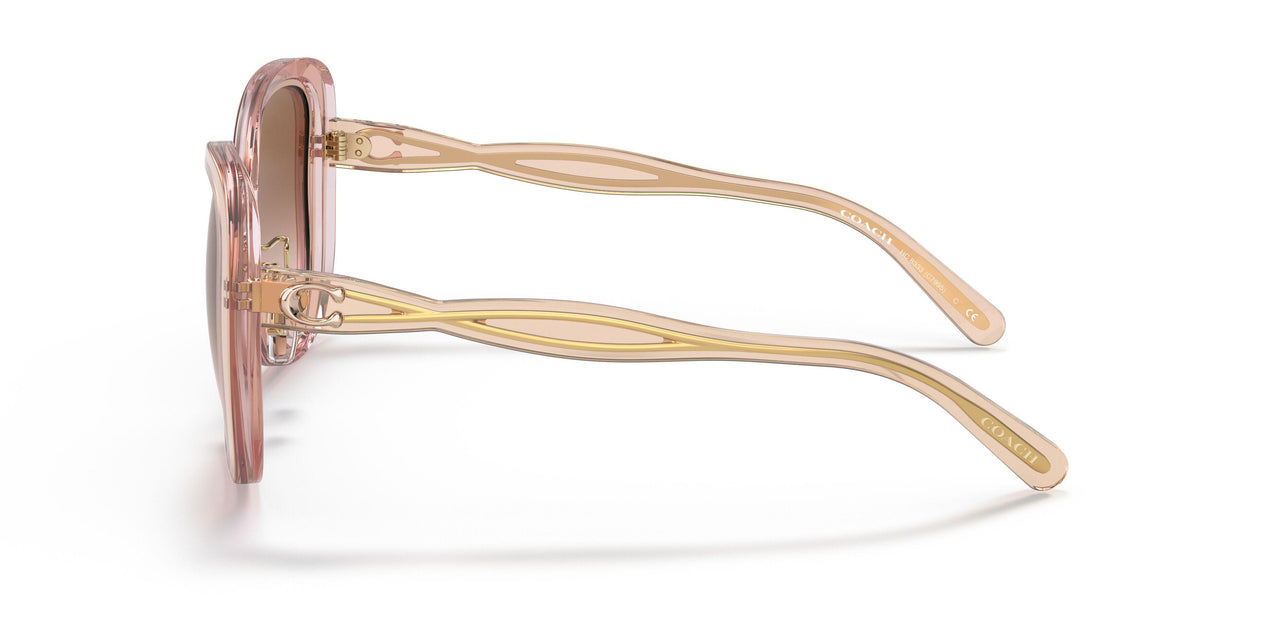568013 - Pink - Brown Pink Gradient